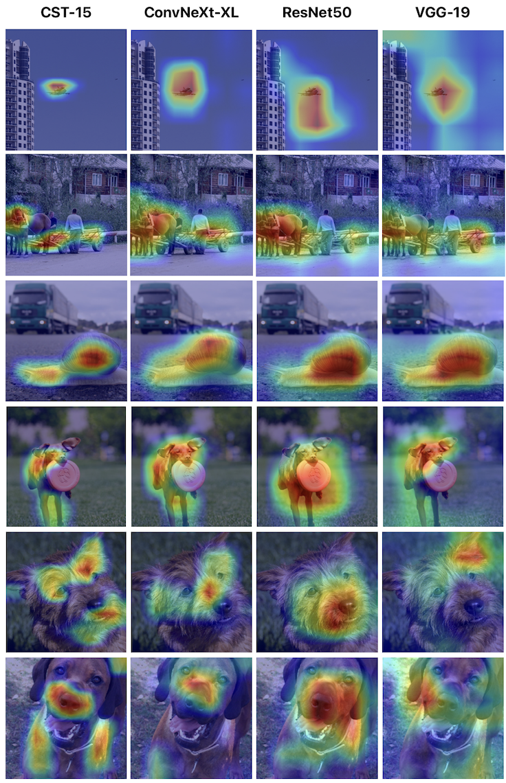 Grad-CAM: CST-15 vs CNNs 